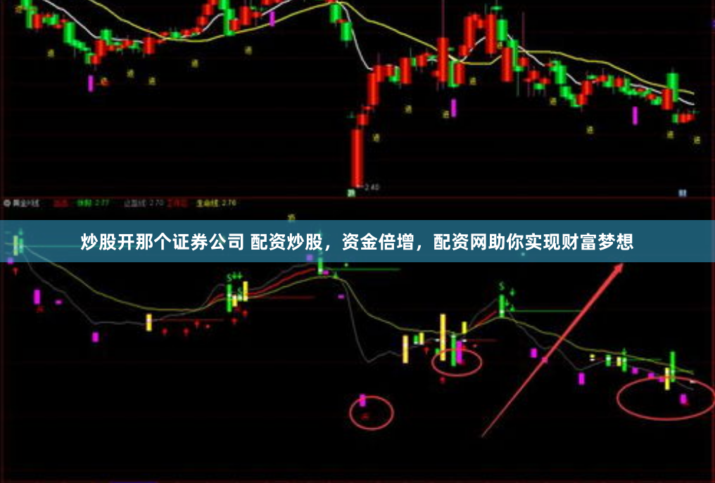 炒股开那个证券公司 配资炒股，资金倍增，配资网助你实现财富梦想